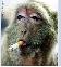 images/avatars/avatar-2968.jpg