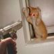images/avatars/avatar-2078.jpg
