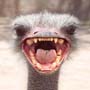 images/avatars/avatar-2161.jpg