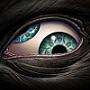 images/avatars/avatar-4311.jpg