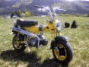 images/avatars/avatar-6872.gif