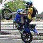 images/avatars/avatar-7684.gif