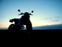 images/avatars/avatar-8317.jpg