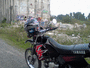 images/avatars/avatar-8548.gif